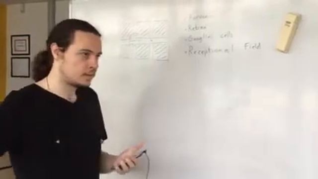 Herman Grid Explained (group 24) смотреть онлайн