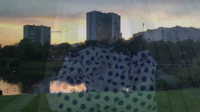 Прогулке в коляске с реборном смотреть онлайн