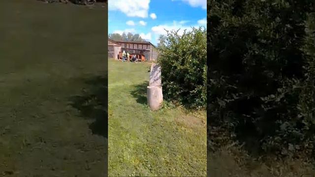 Страусиная ферма😉