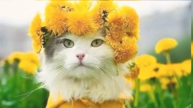 Зачем нужны друзья?????? смотреть онлайн
