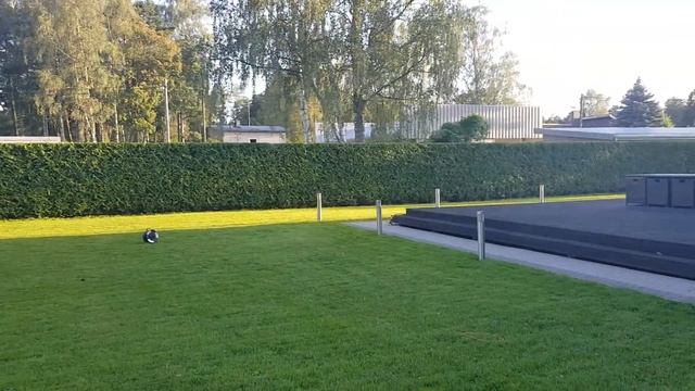 OBREZKA-TUI.com ☎ +79990008108 Обрезка туй стрижка туй Москва смотреть онлайн