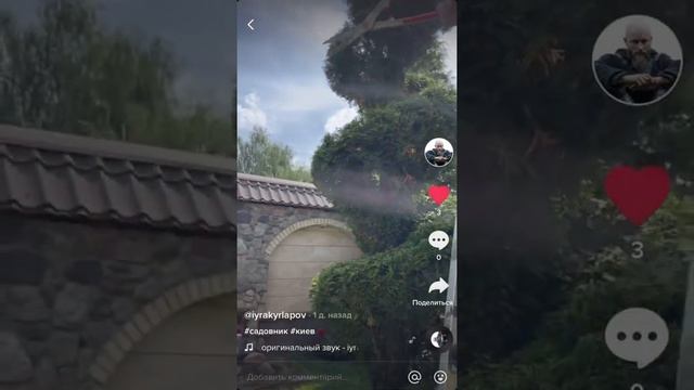 Элементы садового дизайна, стрижка туи спираль, садовые ножницы KR 1000, садовый Да винчи смотреть онлайн