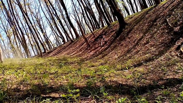 Покатушка на kayo krz 125/подьёмы в горки/без падений. смотреть онлайн