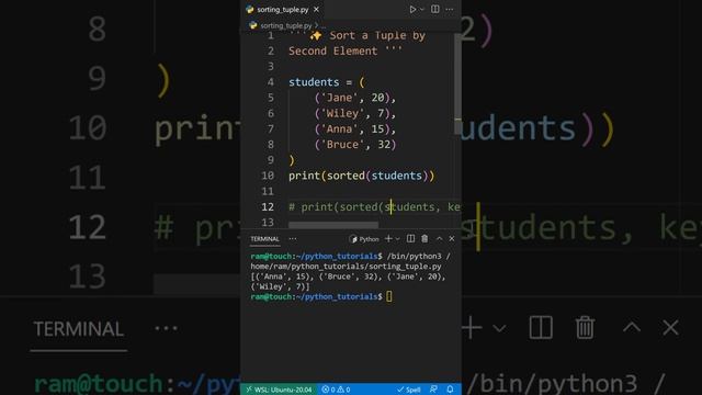 Sort a Tuple by Second Element In Python смотреть онлайн
