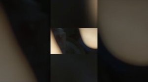 замена тормозных накладок Howo