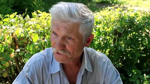 Жители Самары против застройки Самарской Луки смотреть онлайн