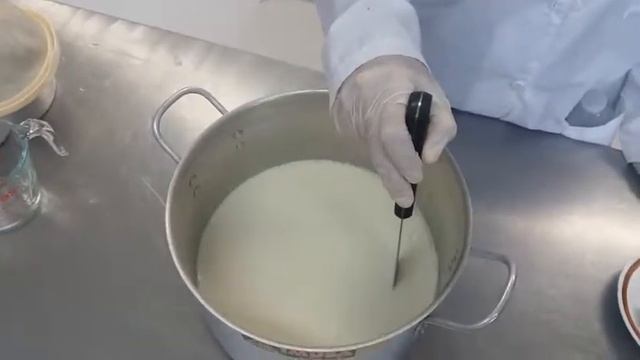 ELABORACIÓN DE QUESO COSTEÑO FRESCO смотреть онлайн