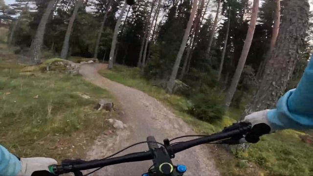 I have kept a secret... Sigtuna Bike Arena Flowtrail is awsome смотреть онлайн