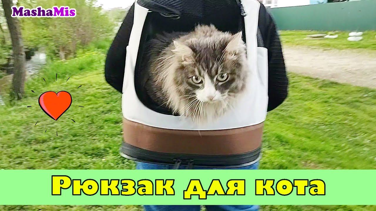 Рюкзак-переноска для кота Кузьмы смотреть онлайн
