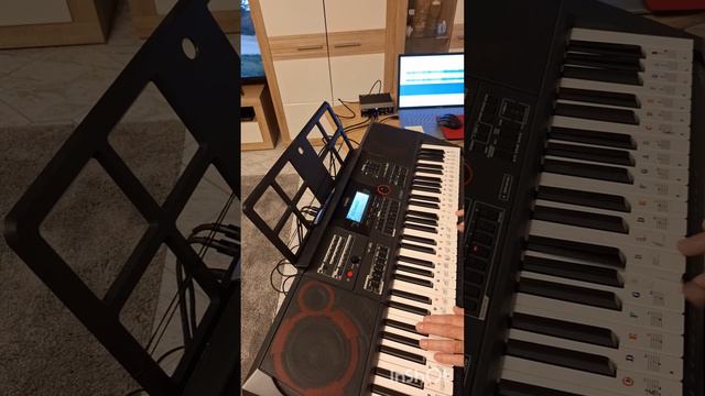 Lian Ross,Диско 80-х (1985 г.),cover, casio ct-x5000 смотреть онлайн