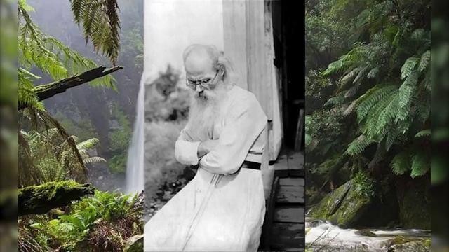 Как не изнывать в Скорбях? Никон (Воробьев) Терпение, покой смотреть онлайн