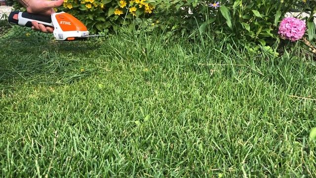 STIHL HSA 26 смотреть онлайн