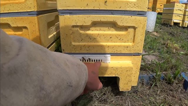 Приняли матку ИО смотреть онлайн