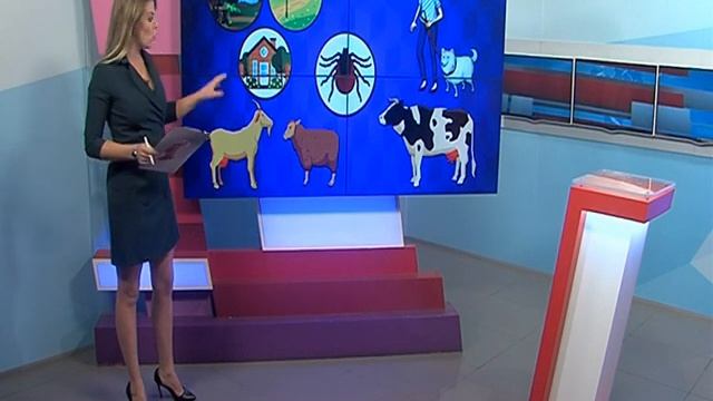 Как защититься от клещей? Весенняя памятка от «Первого Ярославского» смотреть онлайн