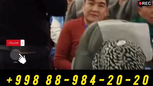 Umra safari narxlari 2024. смотреть онлайн