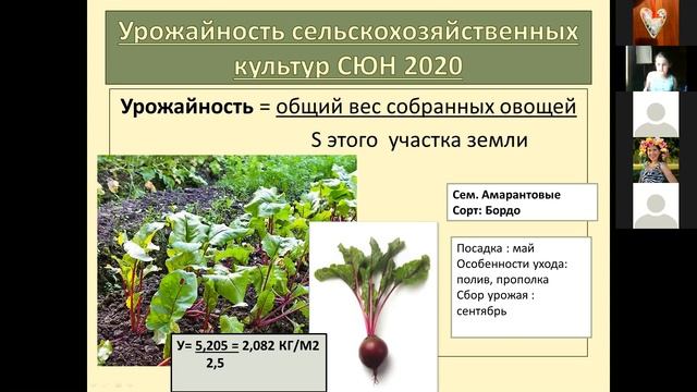 Огород в городе смотреть онлайн