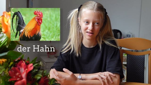НЕМЕЦКИЙ С АЛИСОЙ | ЖИВОТНЫЕ | ОСНОВНЫЕ СЛОВА смотреть онлайн