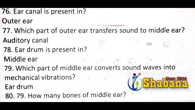 Class 6(Part-2)/General Science/PST-JEST test/Sindho Imtiaz/Shabana Nawaz Official смотреть онлайн