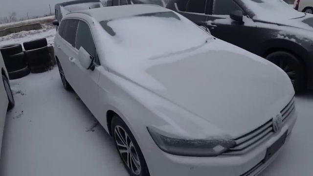 АВТОРЫНОК ЗАМЕРЗАЕТ, БОЛЬШИЕ СКИДКИ СЕГОДНЯ, ВЛАДИВОСТОК ЗЕЛЁНЫЙ УГОЛ 2024 смотреть онлайн