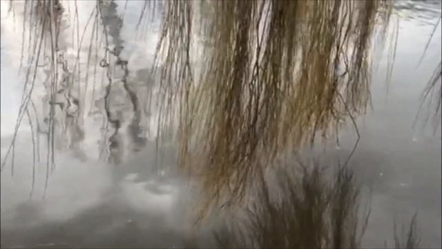 20 марта - День весеннего равноденствия смотреть онлайн