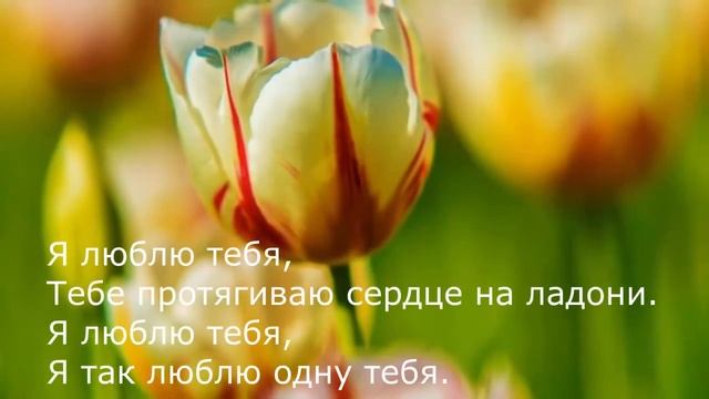 Роберт Рождественский - Люблю тебя смотреть онлайн