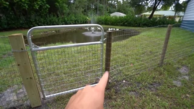 TRANSFERRING ALL My PET DUCKS to *NEW* PC FARM POND!! смотреть онлайн
