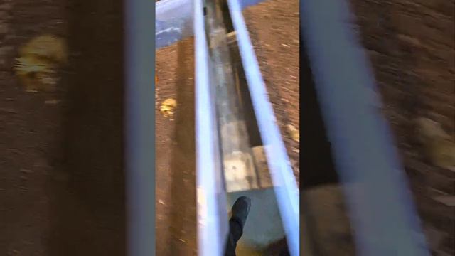 Черная львинка. смотреть онлайн