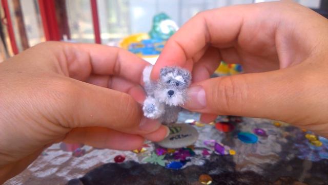 Miniature Schnauzer смотреть онлайн