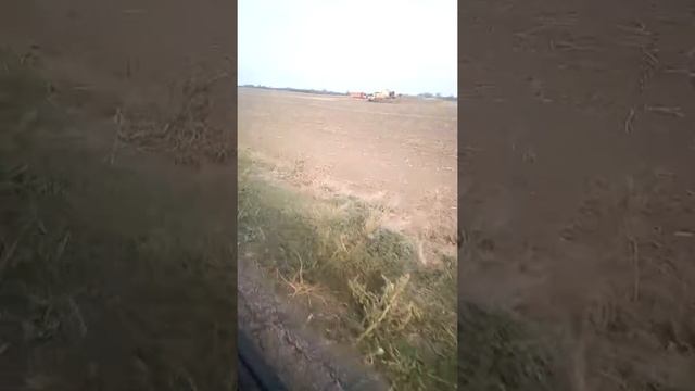 Вот что тварица в силе надеждино смотреть онлайн