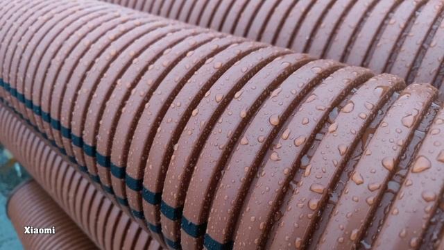 The Real Camera Phone - Xiaomi Mi 11 Ultra Vs. Panasonic Lumix CM1