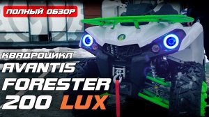 ЗАЧЕТНЫЙ КВАДР на 200 КУБОВ! | Обзор квадроцикла Avantis FORESTER 200 LUX