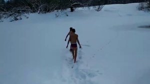 Купаются в снегу