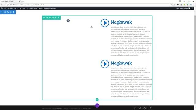 #2. Pierwsze kroki z kreatorem graficznym Divi Builder смотреть онлайн