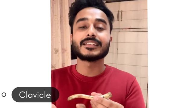 All upper limb bone side determination | All upper limb bone identification | identification of bon смотреть онлайн