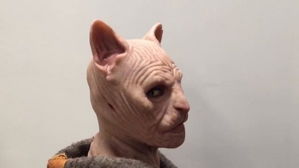 The Sphynx female fit silicone mask