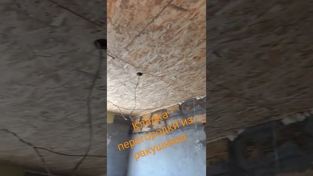 Кладка ракушняка. Кладка перегородок своими руками. смотреть онлайн