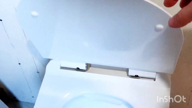 мощный тихий цунами смыв подвесной унитаз безободковый инсталляция Alcaplast am101/1120 sadromodul смотреть онлайн