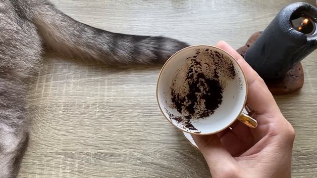 Чашка дня! Кофейные подсказки ☕️ смотреть онлайн