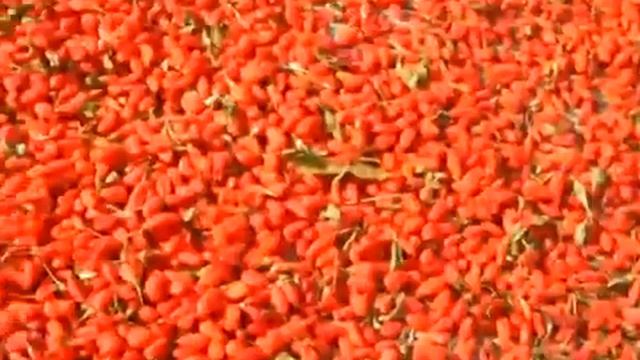 Как получают сушеные ягоды годжи смотреть онлайн