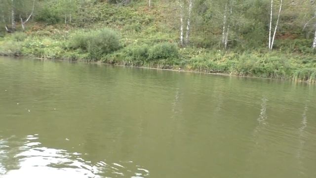 В тайгу на 2 дня. Рыбалка,ночёвка,тайга. смотреть онлайн