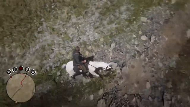 RED DEAD REDEMPTION 2, PS4 . Арабская дикая лошадь белая, трюки, возможности, доверие) смотреть онлайн