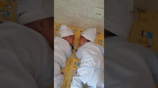 Королевская двойня 13 день жизни смотреть онлайн