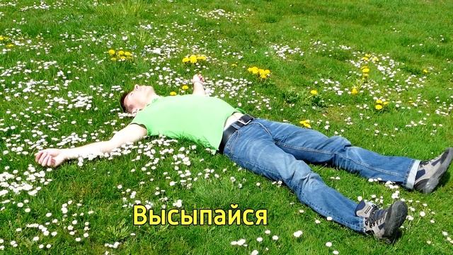 Не дай своему мозгу умереть молодым – Как сохранить мозг здоровым и стать умным на всю жизнь смотреть онлайн
