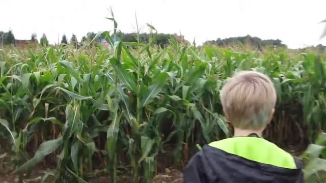 Maize Maze! A-maze? Oxford. смотреть онлайн