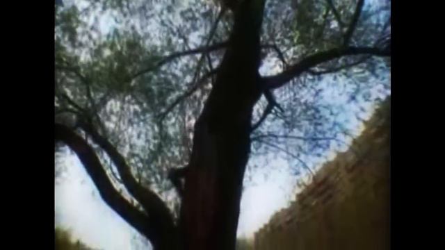 Мурад Аджи Дыхание Армагеддона (Влияние Тюркской культуры. Бог Тенгри) смотреть онлайн