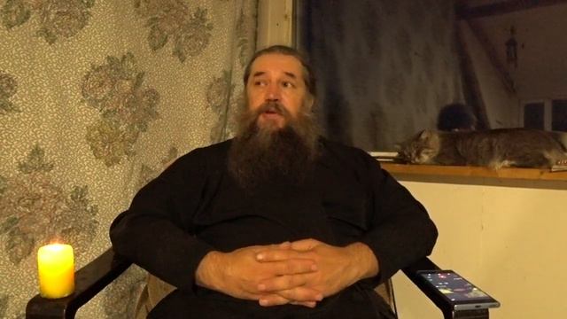 Святые коты часть 2 смотреть онлайн