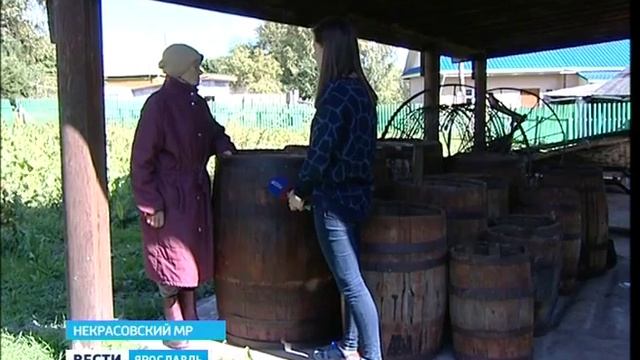 В Некрасовском возродят бренд "Вятский огурец" смотреть онлайн