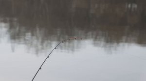 ПЛОТВА ВЕСНОЙ НА ФИДЕР. EXTREMальная рыбалка.