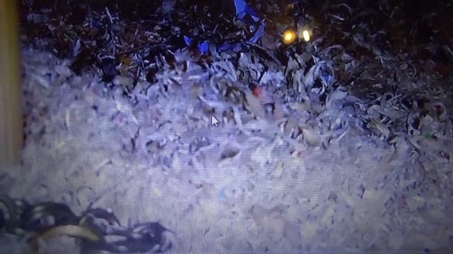 [ВОПРОС-ОТВЕТ] #4|200 КТО ЖЕ Я? смотреть онлайн