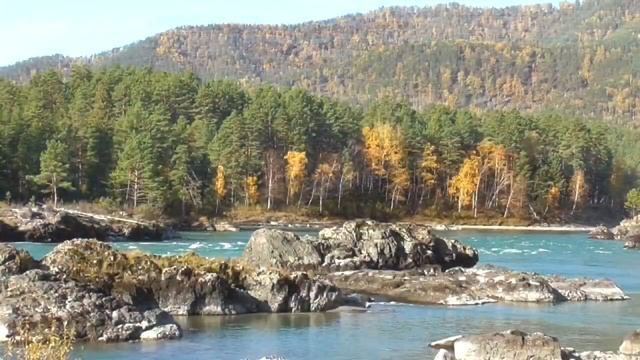 Здоровые легкие Лечебный настрой академика Сытина Г.Н. Для мужчин и женщин смотреть онлайн